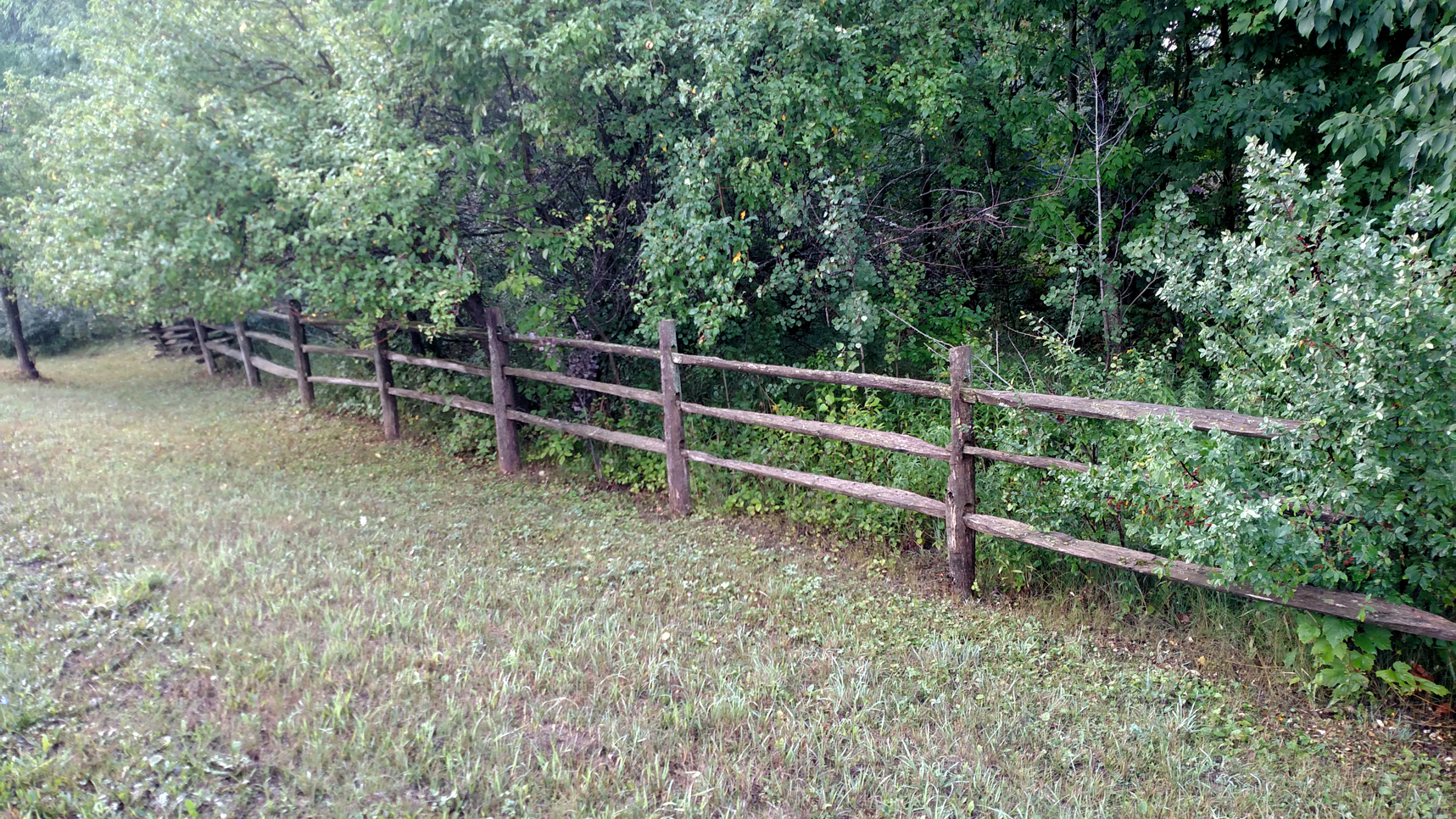 Split Rail Fencing