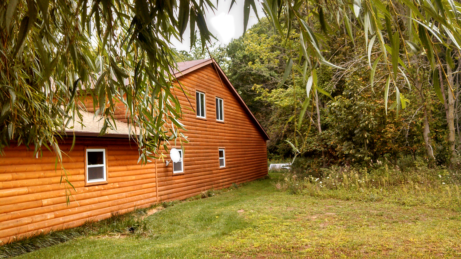 Log Siding